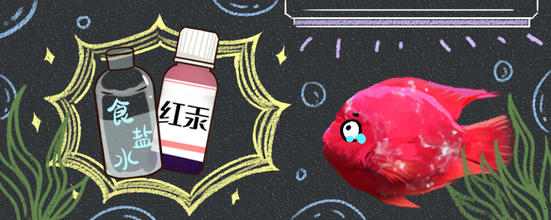鹦鹉鱼身上有白霜怎么治疗用什么药效果好(鹦鹉鱼身上长白霜怎么办)