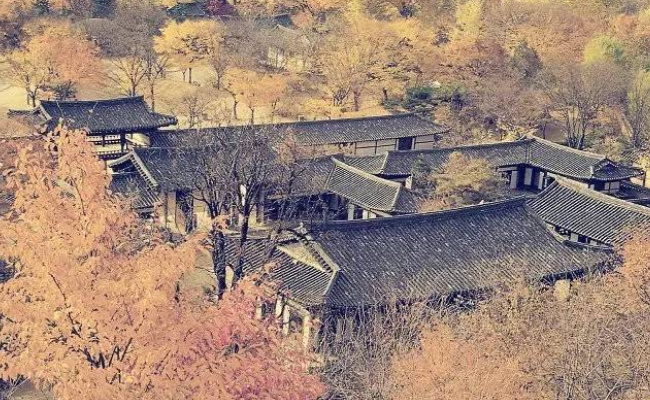 杨维桢的宫词竹枝词和古乐府在元末极为流行世称