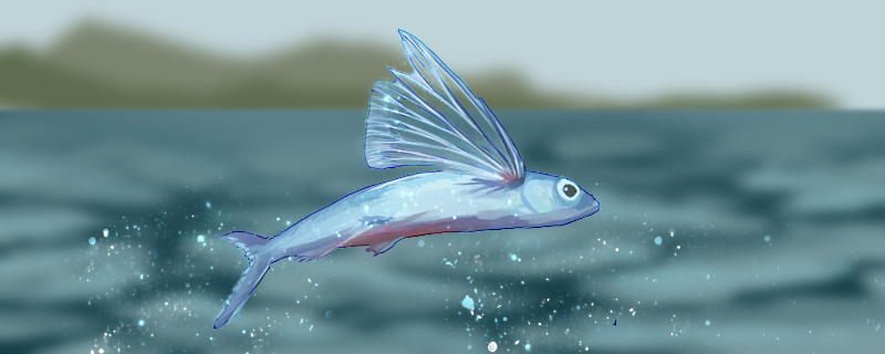 飞鱼为什么会飞出水面飞鱼的天敌有哪些(飞鱼怎么会飞)