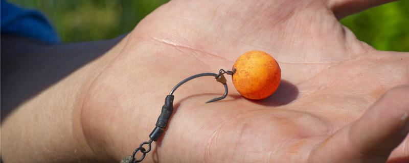 江边钓鱼用什么鱼饵用什么鱼竿(江边钓鲤鱼用什么饵料最好)