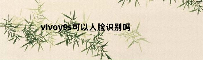 vivoy9s可以人脸识别吗(vivos9e有人脸识别吗)