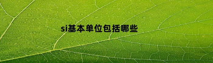 si基本单位包括哪些(si基本单位包括哪些英文)