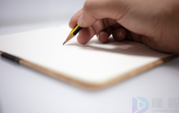 车辆抵押的合同范本格式(车辆抵押合同范本最新)