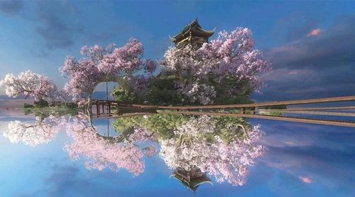 逆水寒花海