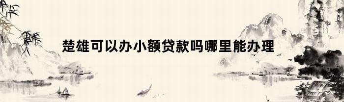楚雄可以办小额贷款吗哪里能办理(楚雄有哪些银行网点)