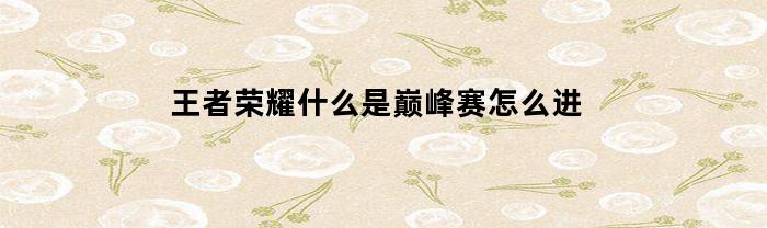 王者荣耀什么是巅峰赛怎么进(王者巅峰赛是指什么)