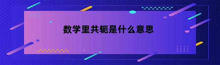 数学里共轭是什么意思(数学共轭公式)