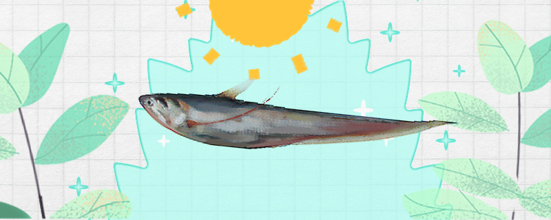 凤鲚与刀鲚一样吗有什么区别(凤棃和菠萝区别)