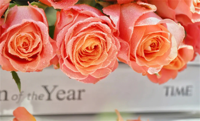 美国国花和英国国花的区别