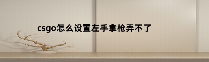 csgo怎么设置左手拿枪弄不了(csgo如何设置左手持枪右手持刀)