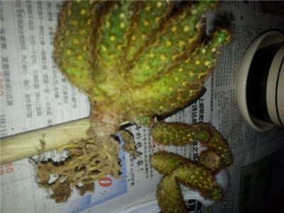 金手指坏了一点不碍事吧