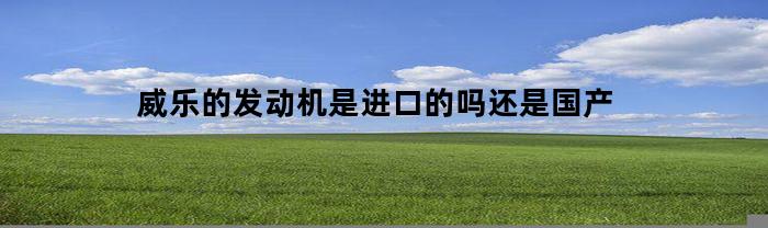 威乐的发动机是进口的吗还是国产(威乐汽车发动机号码在哪里)