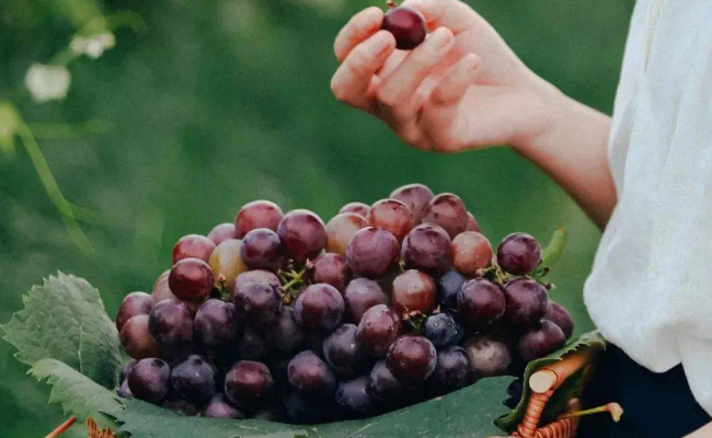 人如果不吃饭只喝水打葡萄糖能活多久