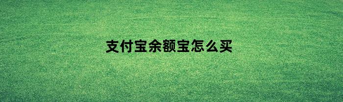 支付宝余额宝怎么买(支付宝余额宝怎么买不了东西)