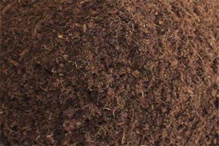 种玫瑰花用什么土质