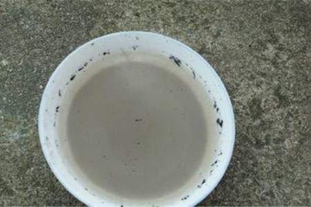 米兰叶子干枯还能活吗怎么救活它