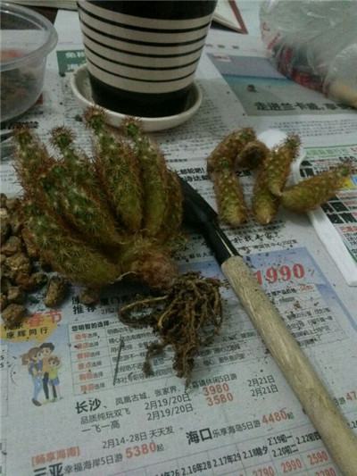 金手指坏了一点不碍事吧