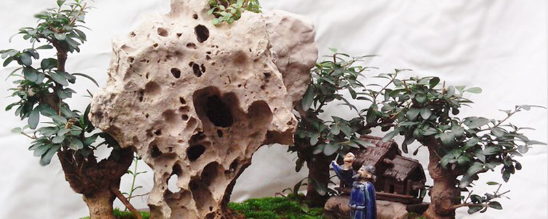 美化盆景的修剪方法(盆景修剪视频教学)