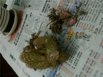 金手指坏了一点不碍事吧