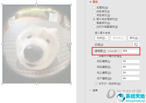 ppt2019图片透明度设置(ppt2016图片设置透明色)