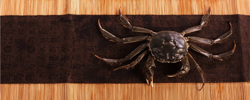 螃蟹多少度会冻死螃蟹要怎么保存(螃蟹多少度会冬眠)