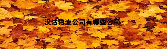 汉沽物流公司有哪些公司(天津市滨海新区汉沽物流公司)