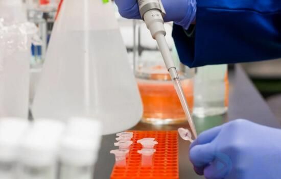 动物科学专业就业前景分析