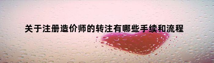 关于注册造价师的转注有哪些手续和流程(关于注册造价师的转注有哪些手续和流程图)