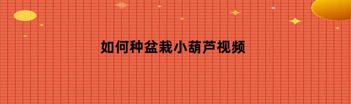 如何种盆栽小葫芦视频(盆栽小葫芦的养殖管理)
