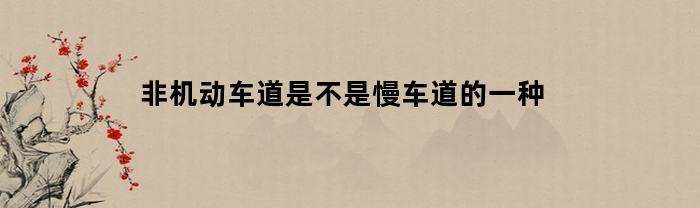 非机动车道是不是慢车道的一种(非机动车道是道路吗)