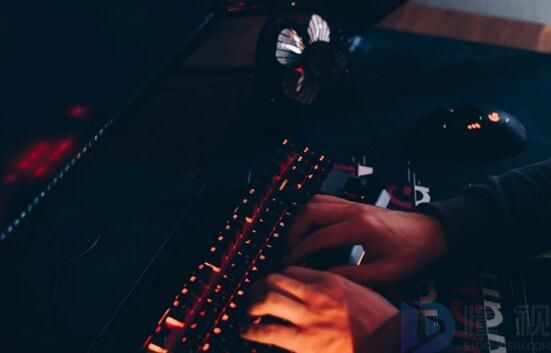 软件技术就业前景(软件技术的就业前景和就业方向)