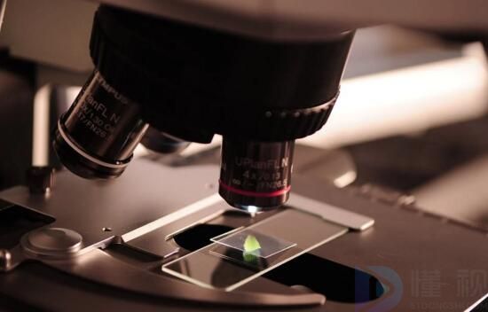 材料科学与工程就业方向与前景(材料科学与工程就业单位有哪些)