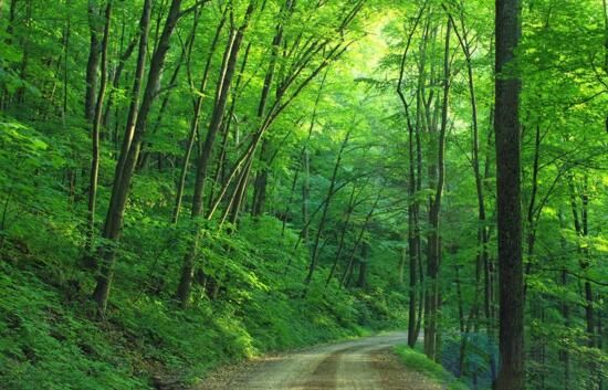 风景园林专业就业前景张雪峰
