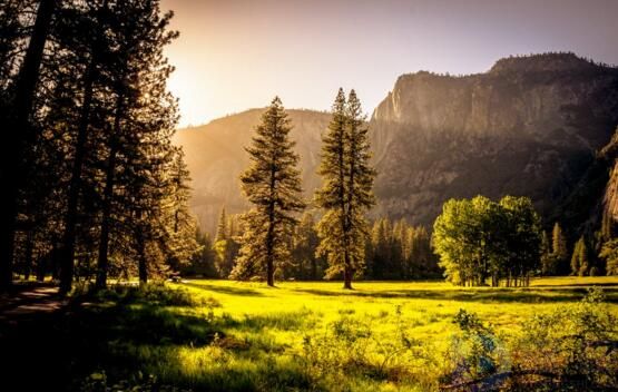 风景园林专业就业前景张雪峰