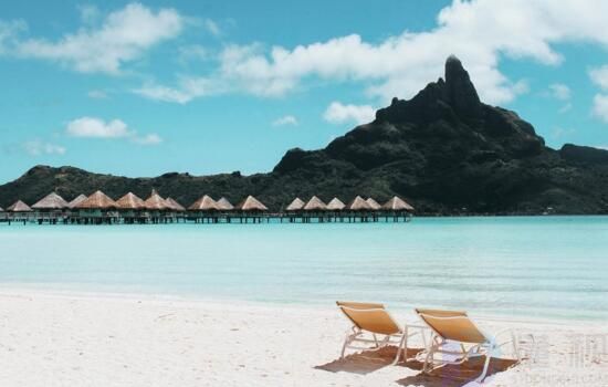 旅游管理专业就业前景(旅游管理专业就业前景张雪峰)