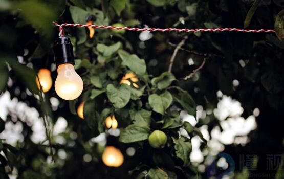 园艺专业就业前景分析