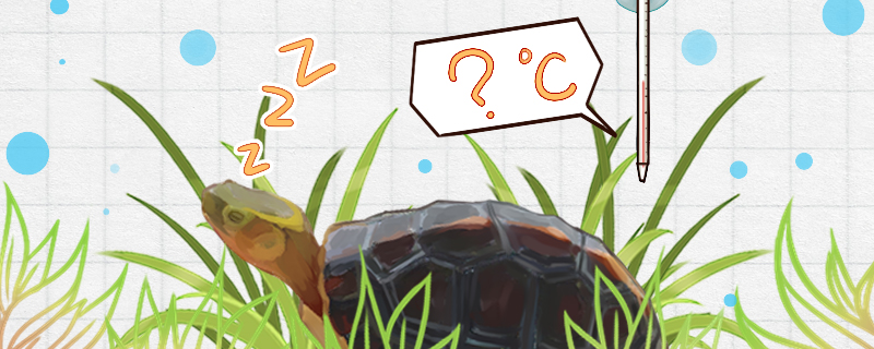 黄缘闭壳龟多少度冬眠冬眠什么时候结束(黄缘闭壳龟苗如何过冬)