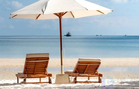 旅游管理专业就业前景张雪峰