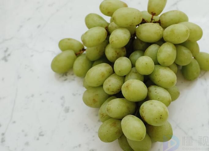 葡萄的种类大全