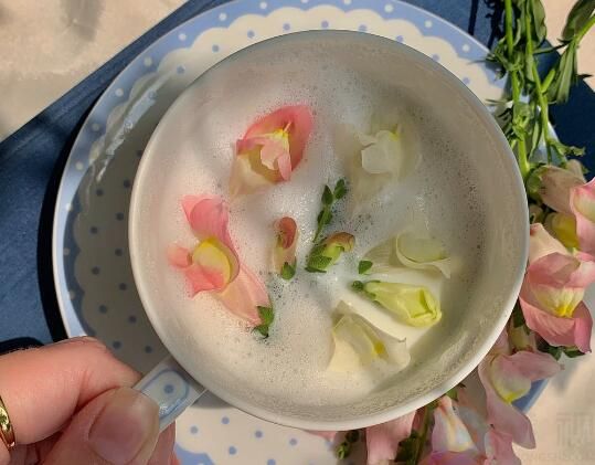 花茶的种类(茉莉花茶的种类)