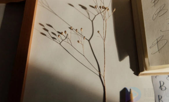 描写山水田园的诗句 古诗