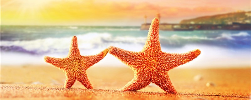 海星有脑子吗有心脏吗(海星有没有内脏)