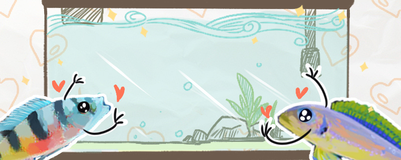 卧室可以放鱼缸养鱼吗鱼缸摆放要注意什么(卧室可以放鱼缸吗?卧室鱼缸风水有什么讲究?)