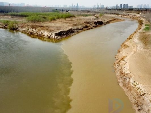 泾渭分明指的是什么地方(泾渭分明是啥意思)