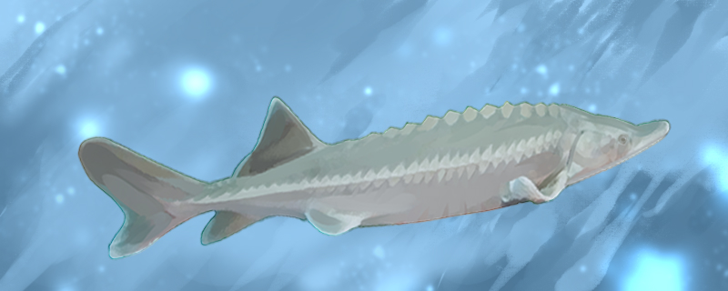 几斤饲料长一斤鱼饵料系数有哪些影响因素(多少斤饲料长一斤鲫鱼)