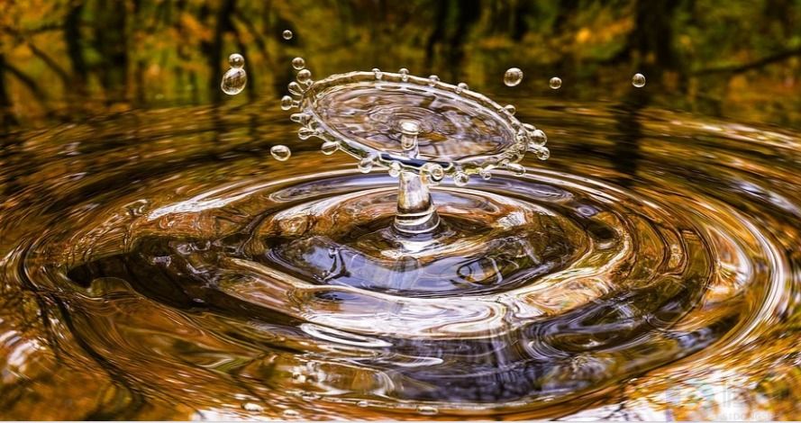 水质监测中cod和氨氮有关系吗(水质氨氮和cod的倍数关系)