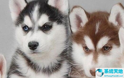 win10显示器颜色怎么调(windows10显示器颜色校准)