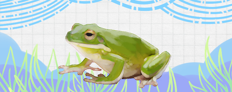 海里有青蛙吗青蛙生活在哪里(青蛙能在陆地上生活吗)