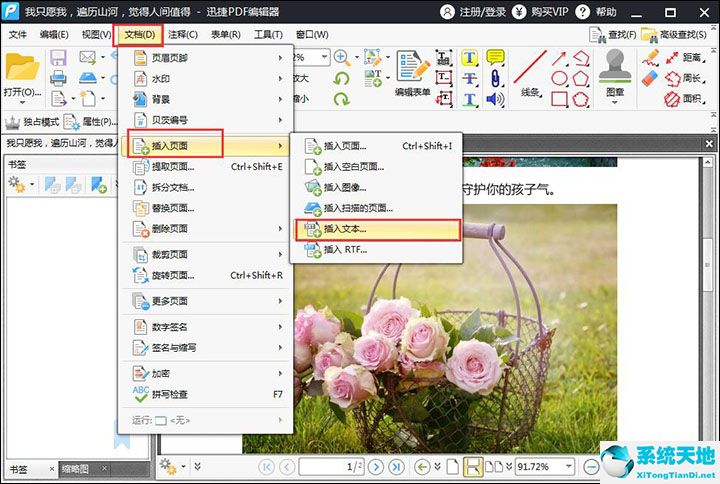迅捷pdf编辑器怎么把pdf转化成excel(迅捷pdf怎么编辑文字)