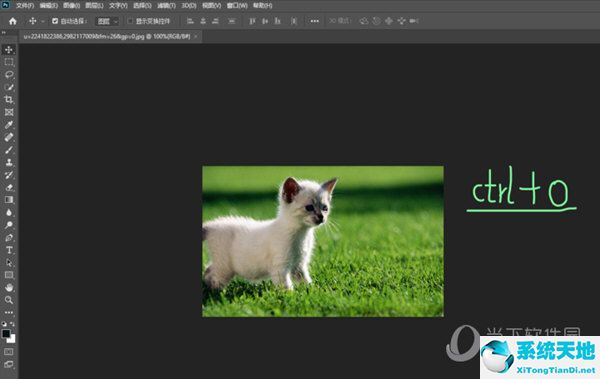 ps2020怎么快速抠图(ps2020抠图详细步骤)
